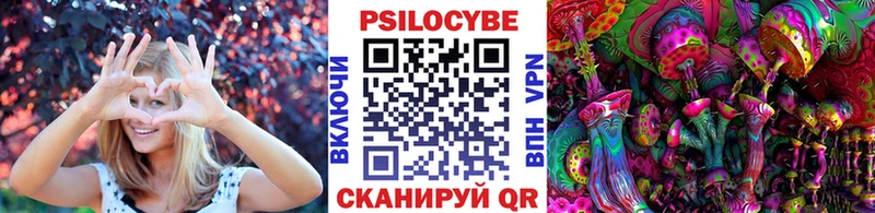 Псилоцибиновые грибы мицелий  Светлоград 